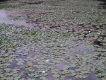 IMG 4889