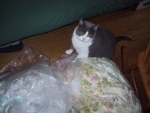 pretty rags......