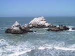 The Seal Rocks at Cliff House.