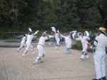IMG 7529