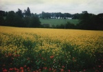 englandtrip1