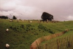 englandtrip4