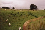 englandtrip5